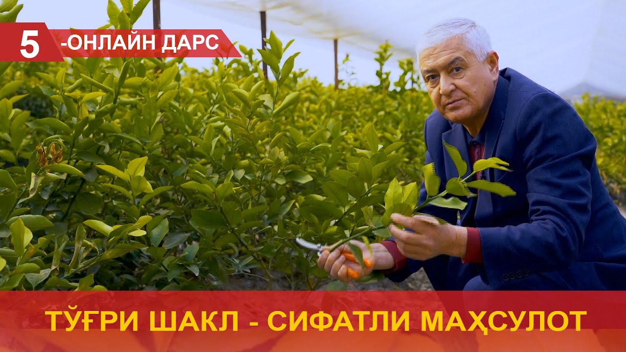 Тўғри шакл - сифатли маҳсулот!