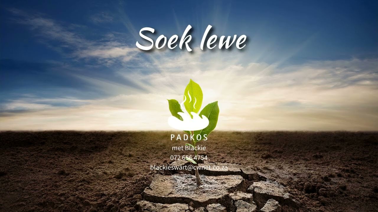 Soek lewe