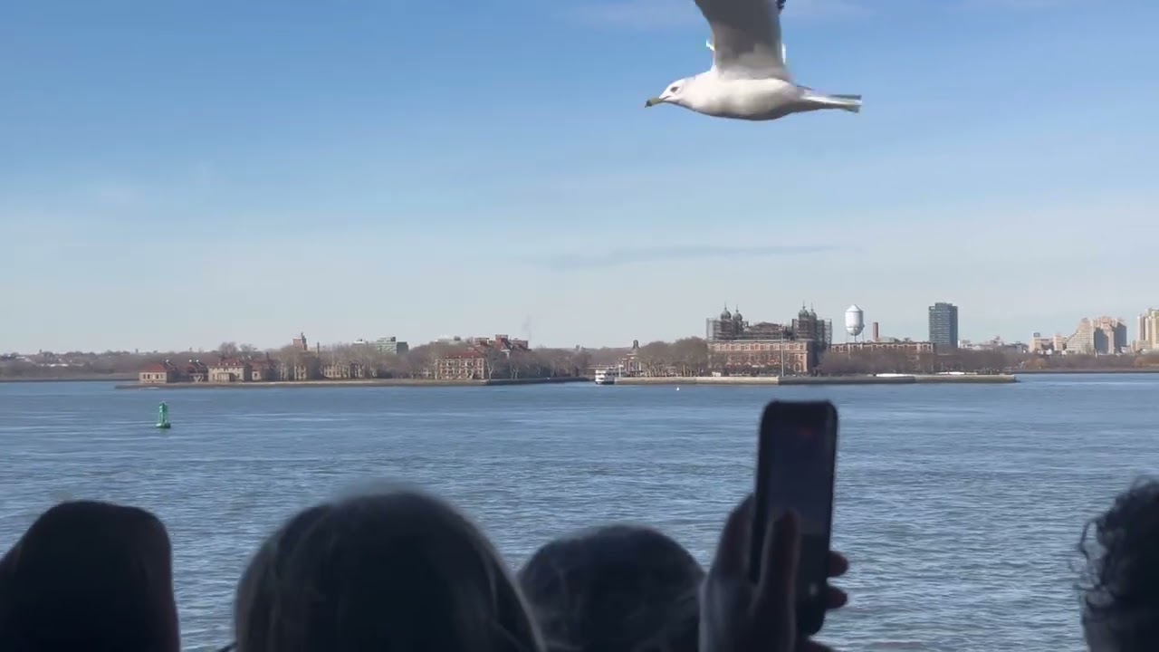 United liberty 