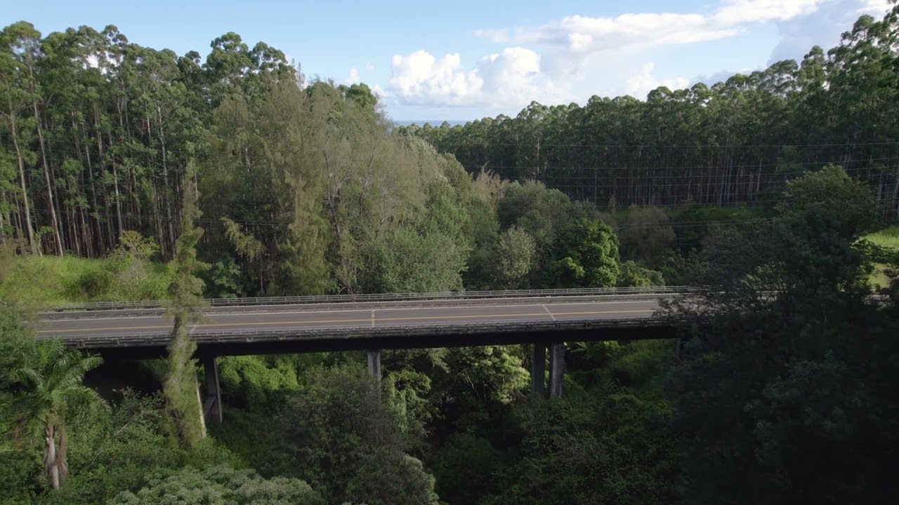 Scenic Drone Footage : Hamakua Coast, Hawaii