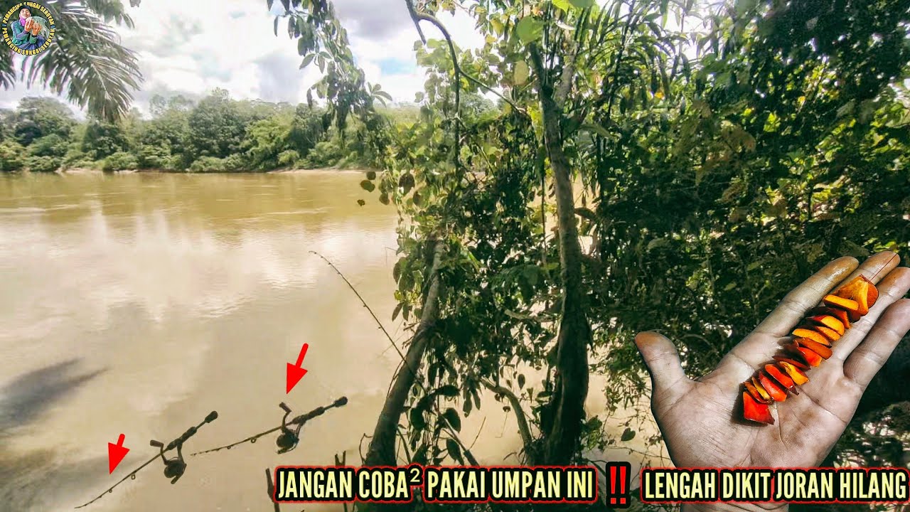JANGAN COBA² PAKAI UMPAN INI‼️LENGAH DIKIT JORAN HILANG DI BAWA IKAN‼️@pemancingsungaiseruyan594