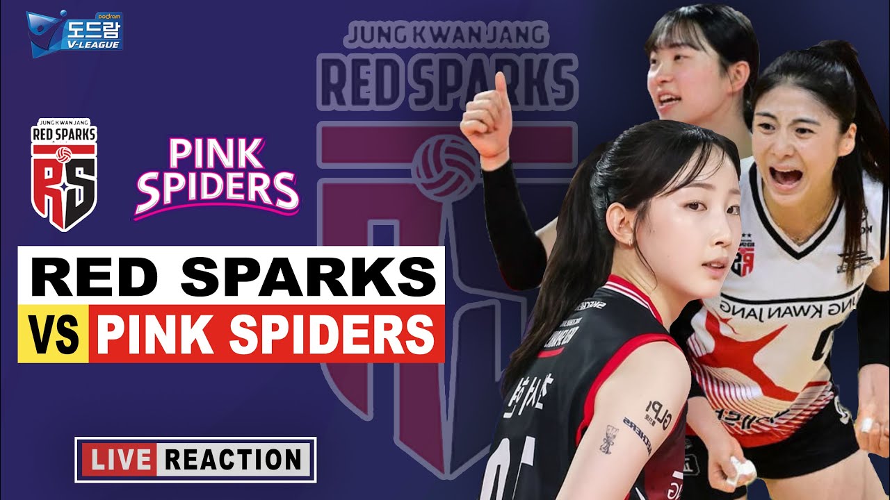 🔴Live Voli Korea Red Sparks VS Pink Spiders - Round 3