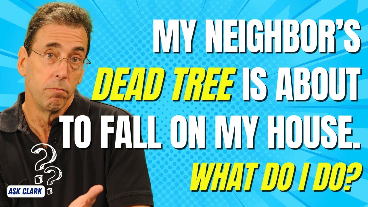 My Neighbor&rsquo;s Dead Tree Is About To Fall on My House. What Do I Do?