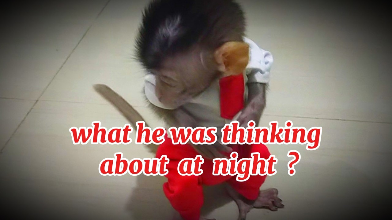 what he was thinking about at night  ? .#viral #trending #viralvideo #trendingvideo
