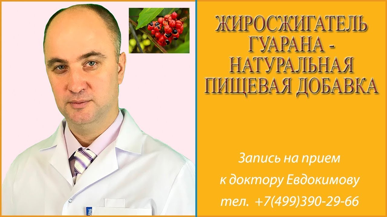 Жиросжигатель гуарана - натуральная пищевая добавка
