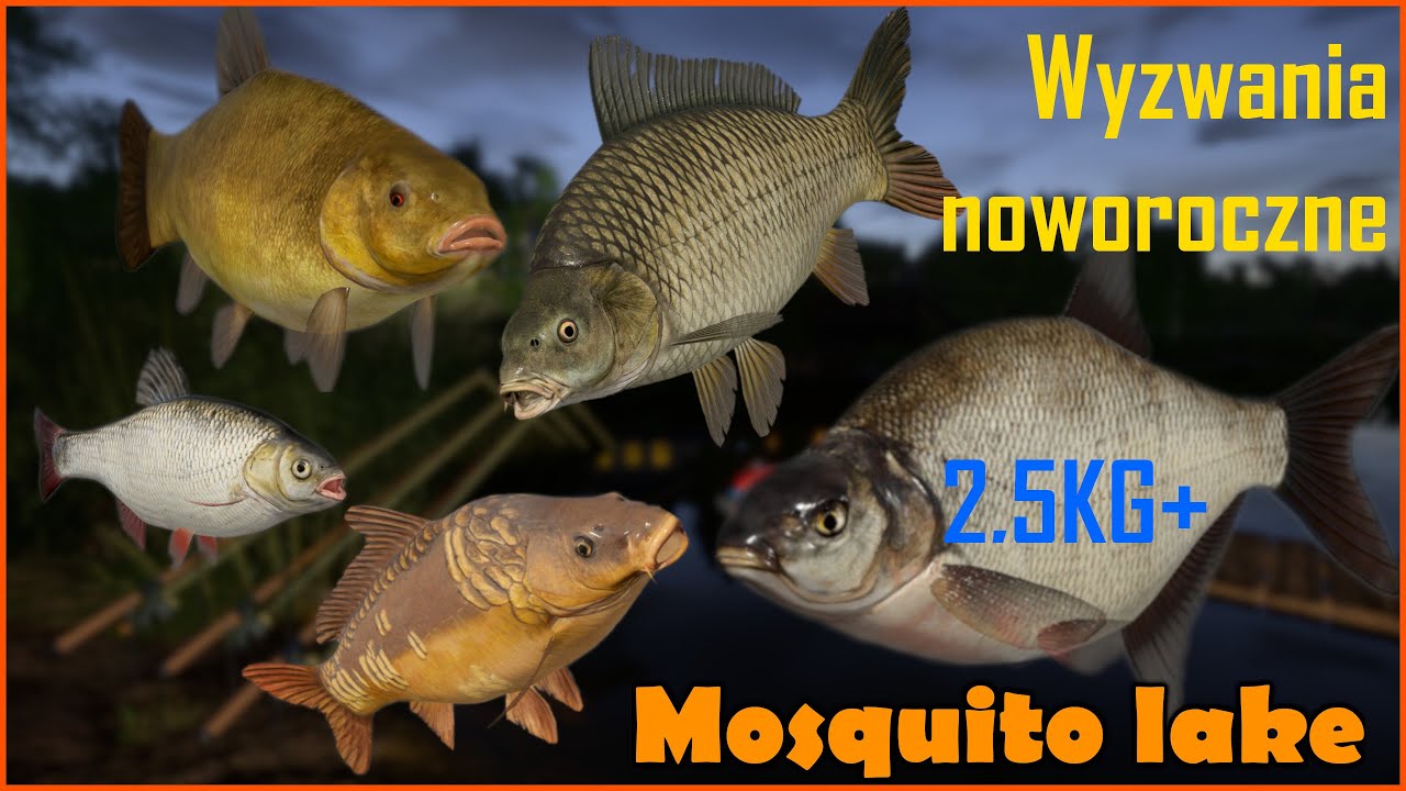 Wyzwania noworoczne - Leszcze Karpie Liny #6  Mosquito lake - Komarówka Russian Fishing 4 rf4