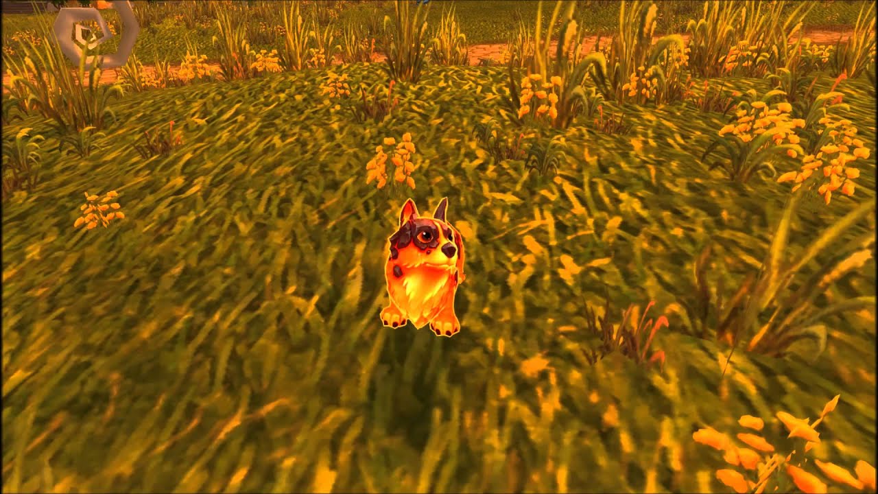 Molten Corgi - Warcraft