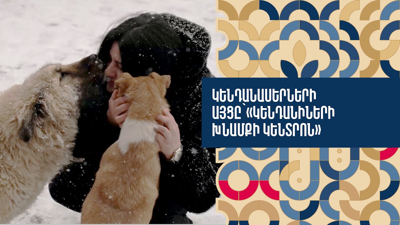 Կենդանասերների այցը`«Կենդանիների խնամքի կենտրոն»