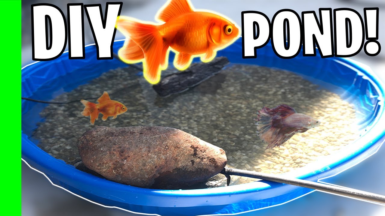 Как сделать своими руками мини-пруд для золотых рыбок!!!