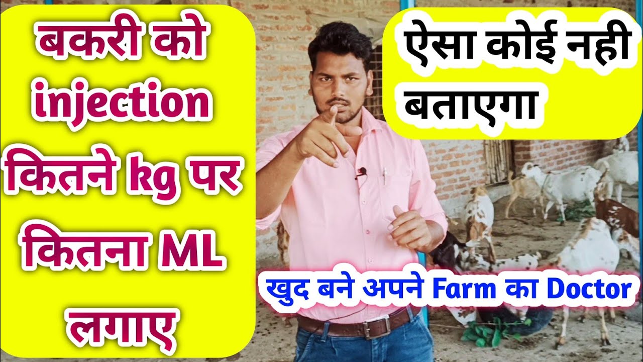 बकरी को injection कितने kg पर कितना ML लगाए || बकरी पालन का गुरु मंत्र जरूर जाने  ||