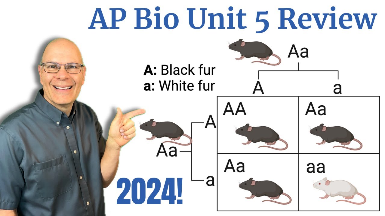Heredity, Meiosis and Genetics: 1 Hour Explanation of AP Bio Unit 5