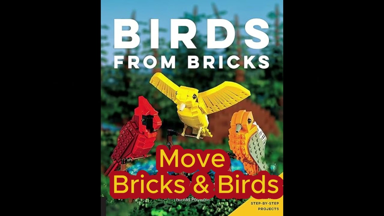 SUPERSTAR LIZZLE - Like They Bricks & Birds