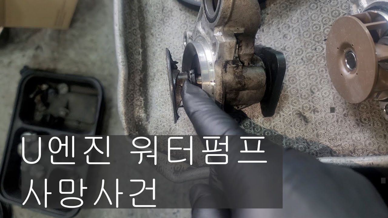 #315#현대 기아  승용디젤U엔진  겉밸트 셋 워터 펌프포함 20만KM전에 교체 하셔야 할것같습니다
