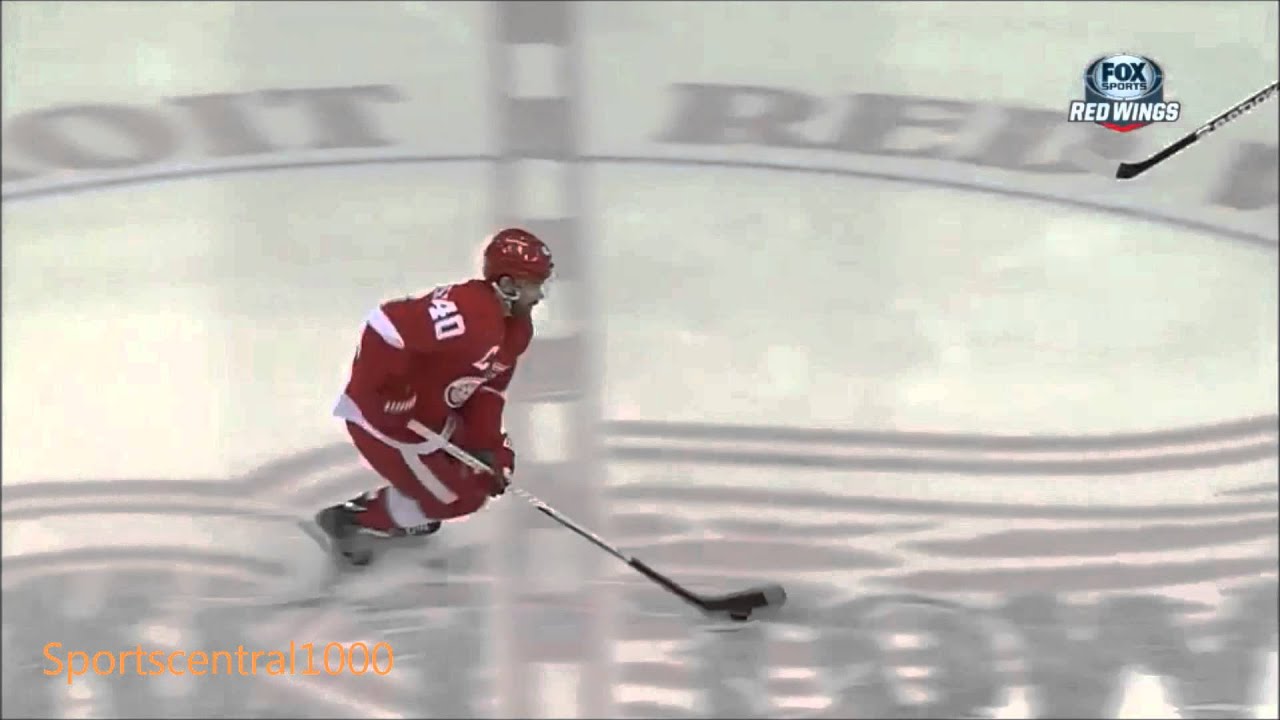 Damien Brunner Powerplay Goal vs Minnesota Wild | January 25th 2013  (HD)