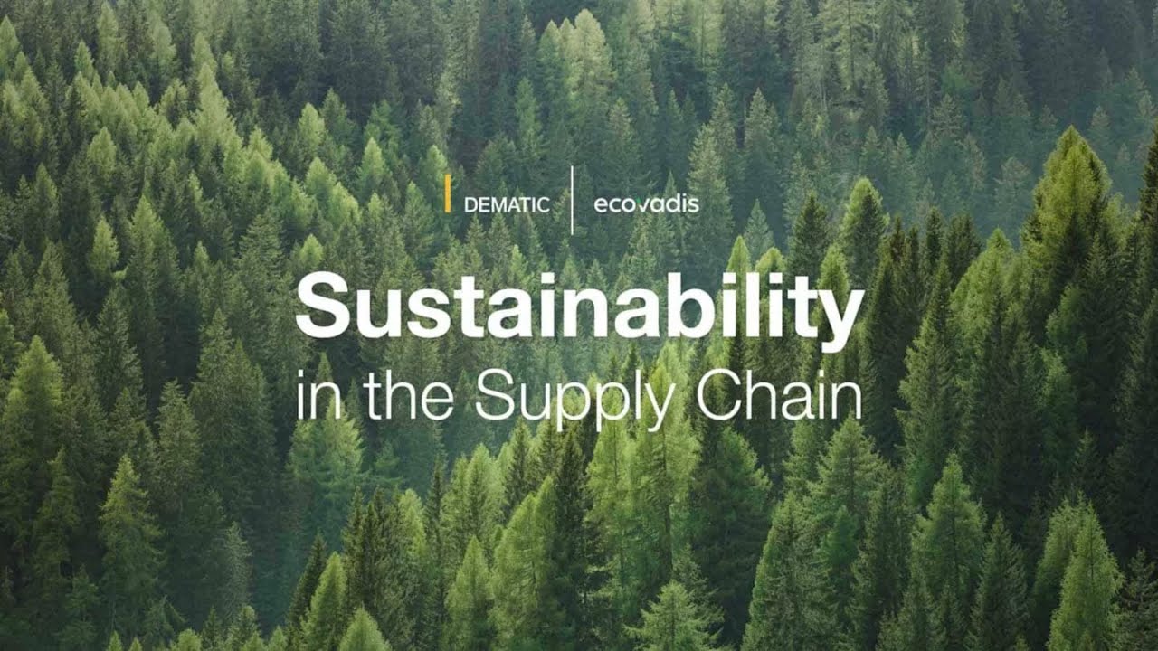 EcoVadis Ratings: Driving Sustainability in the Supply Chain Industry