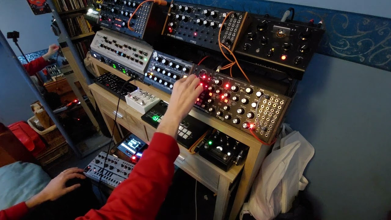Dawless Melodic Techno | Moog Labyrinth | Subharmonicon | MInitaur | DFAM |  MegaFM |