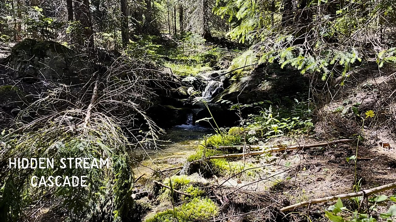 Soft Cascading Water from a Small Stream💧Deep Relaxation Sounds | Water Secret