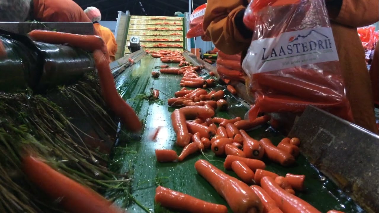 Laastedrif Farms Fruit and Vegetable Productions