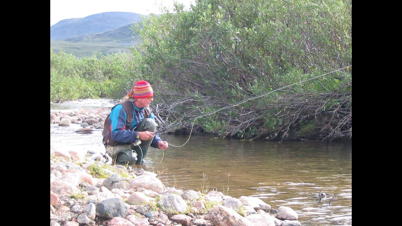 FJÄLLFISKE 2004
