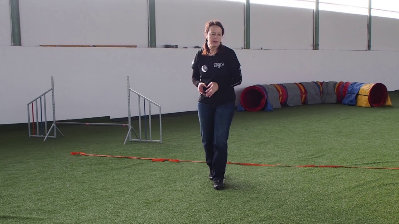 One Mind Dogs teaching front cross