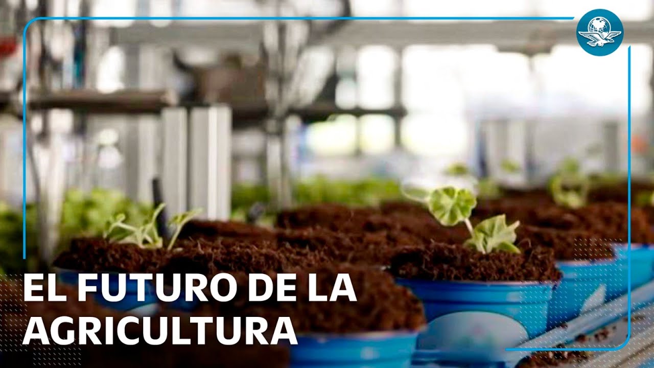 Estos robots inteligentes est&aacute;n transformando el campo