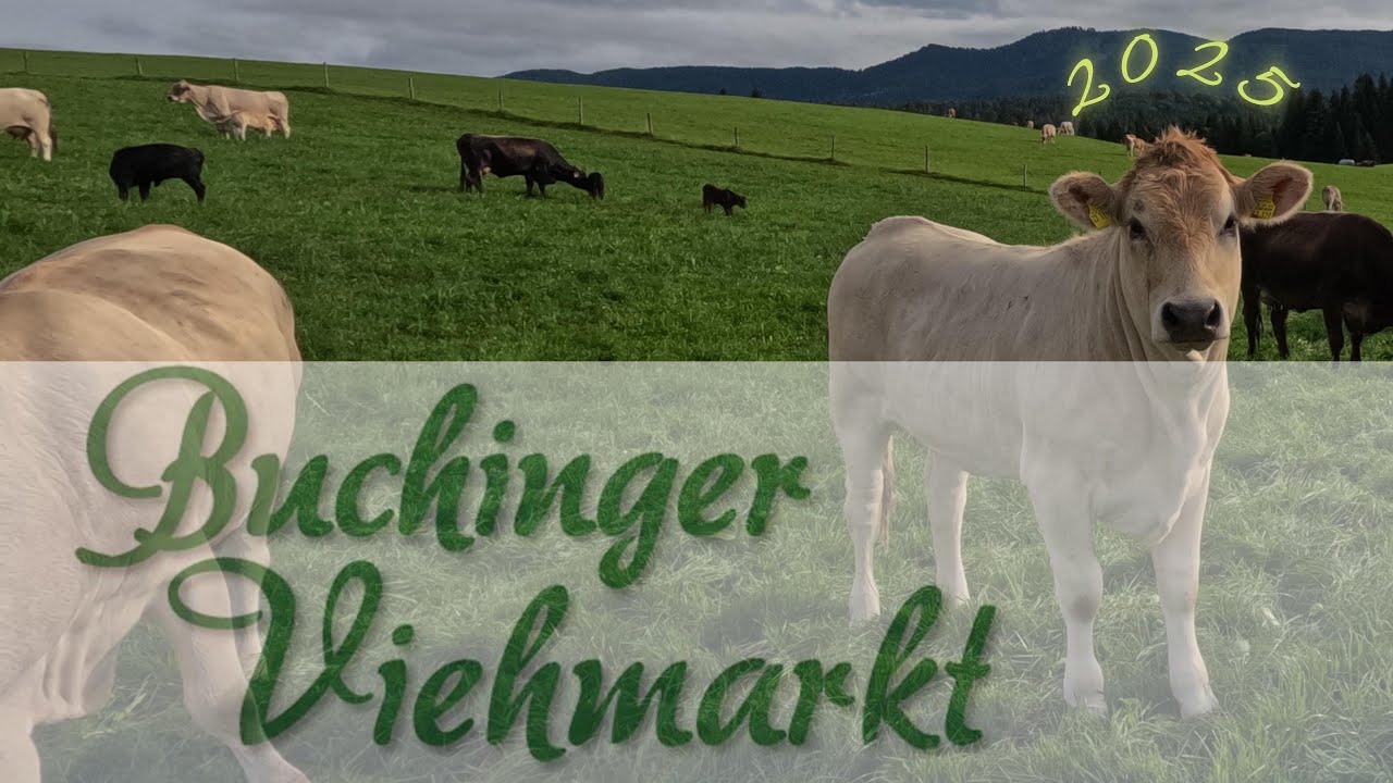 2025 Buchinger Viehmarkt