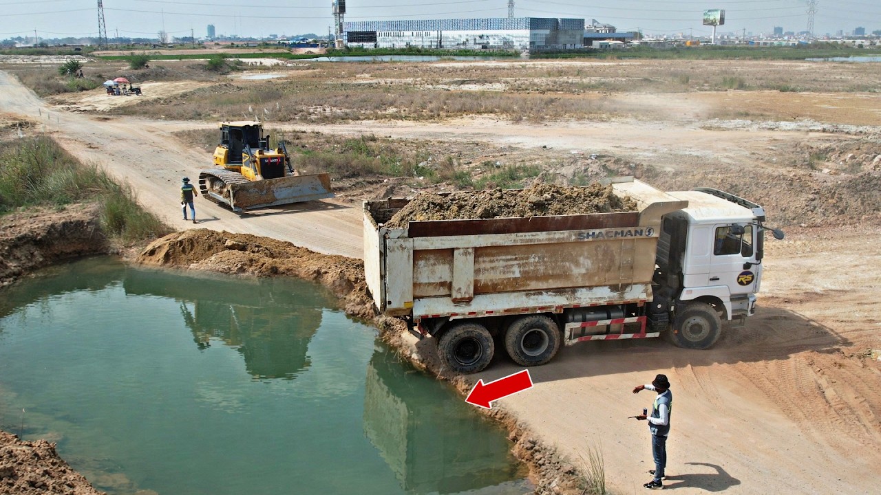 Nice Starting! Heavy Machines Turning Pond Into Land Use Dozer Shantui Pushes Soil With Dump Truck