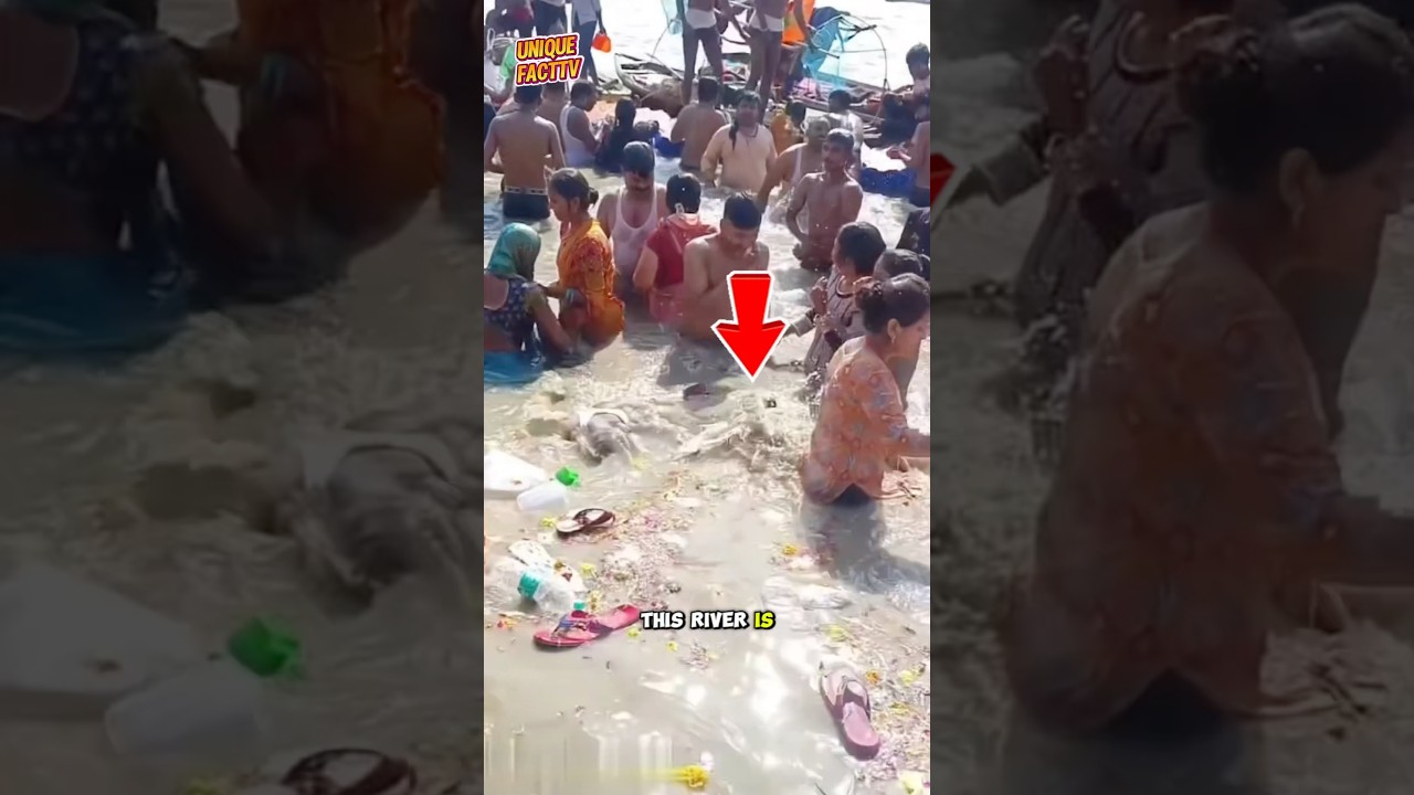 The Sacred River That&rsquo;s Among the World&rsquo;s Most Polluted #shorts #india #gangga