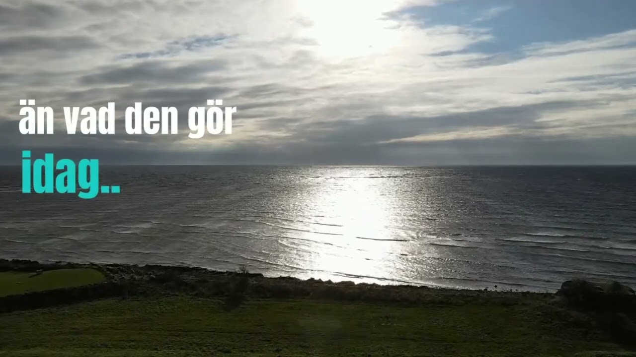 Inspirationsf&ouml;rel&auml;sning  - Vision fackf&ouml;rbund