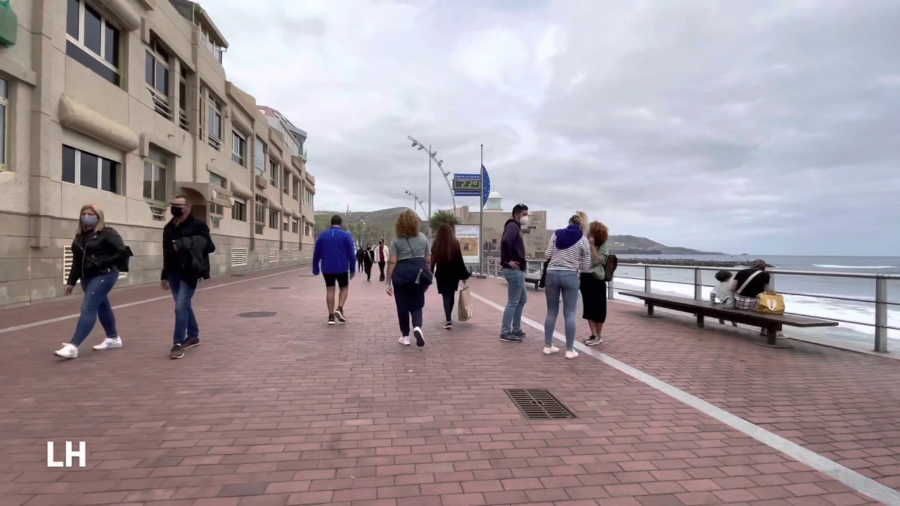 PLAYA DE LAS CANTERAS Y PINO APOLINARIO POR LUIS HERNÁNDEZ