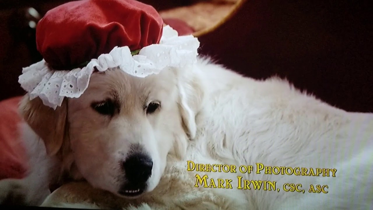 Santa paw 2  Christmas upload