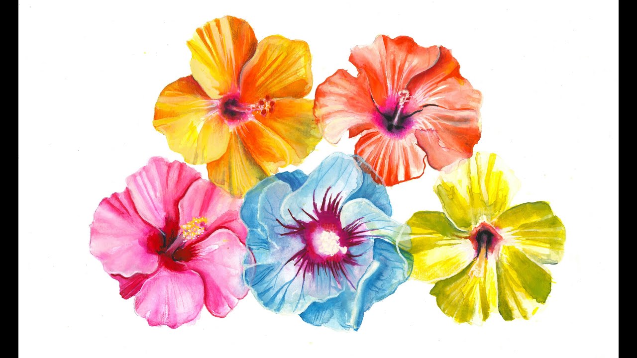 Hibiscus Flowers Watercolor Painting Tutorial