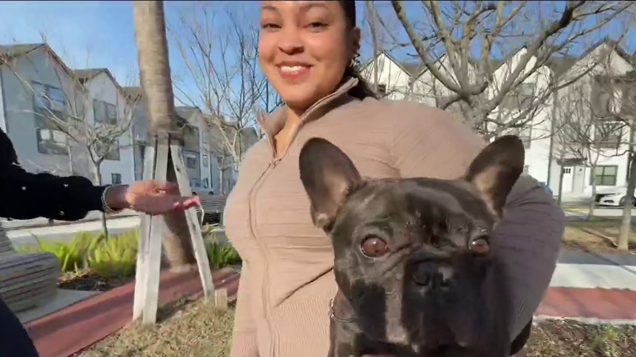 Nassau County student, her dog 'Hero' make history at Westminster Kennel Club Dog Show