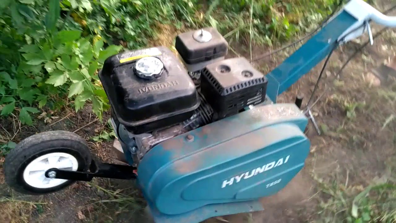 Бензиновый культиватор Hyundai T 850 вкалываем между деревьями