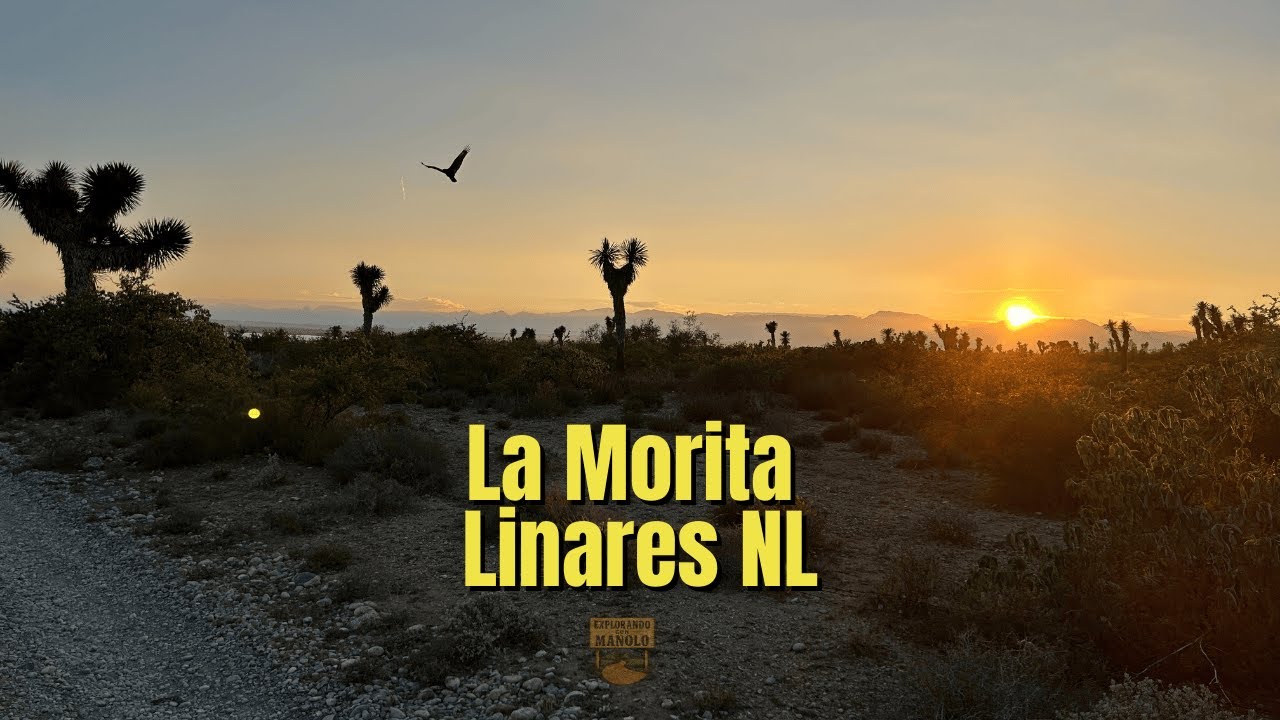 ¿Un lugar tranquilo para ACAMPAR y PESCAR? La Morita, Linares NL