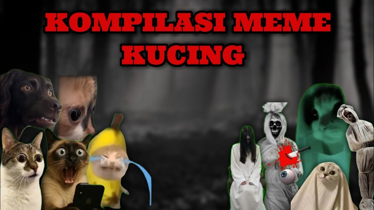 KOMPILASI MEME KUCING HORROR SERAM..