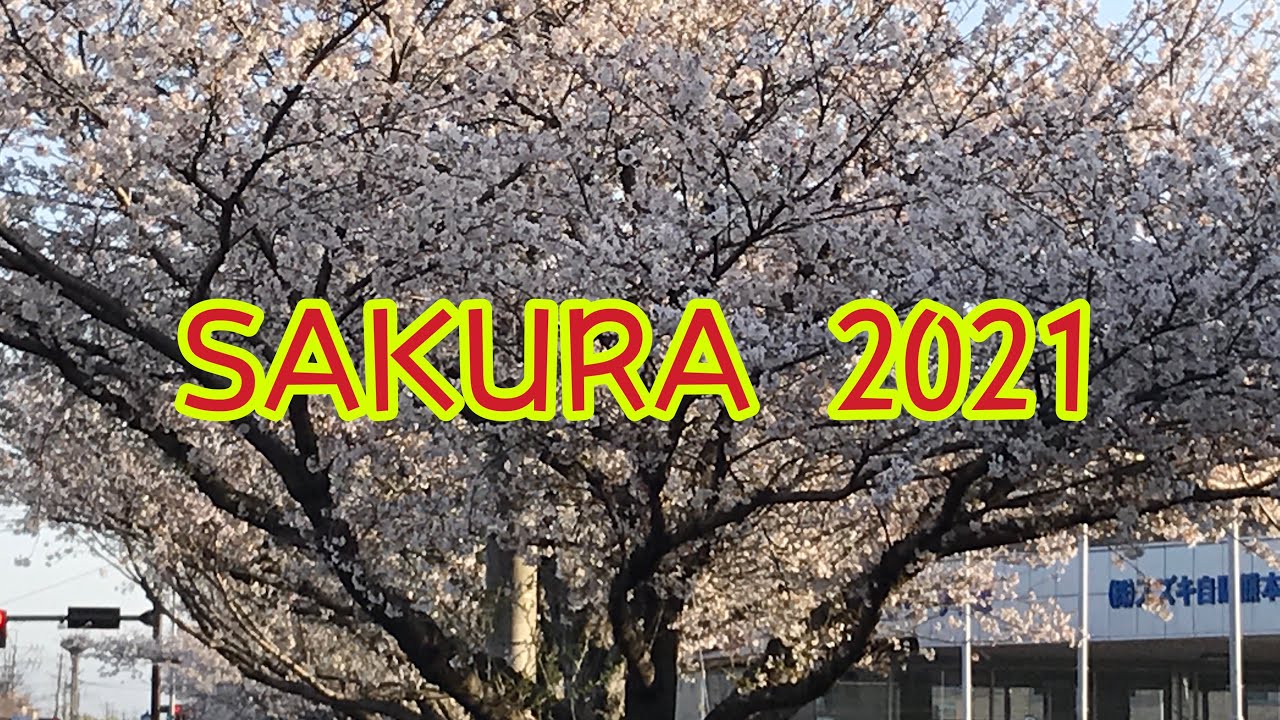 SAKURA 2021