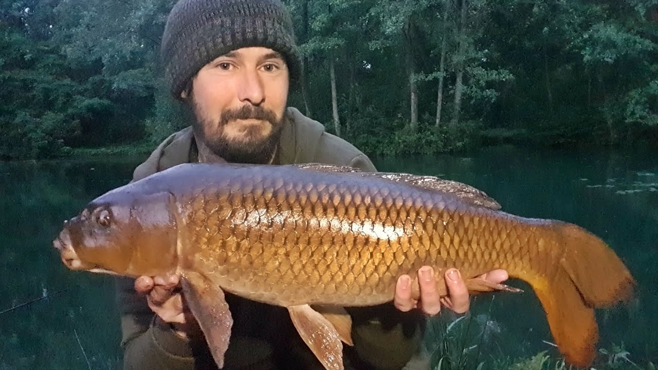 Carp Fishing at Fernhill