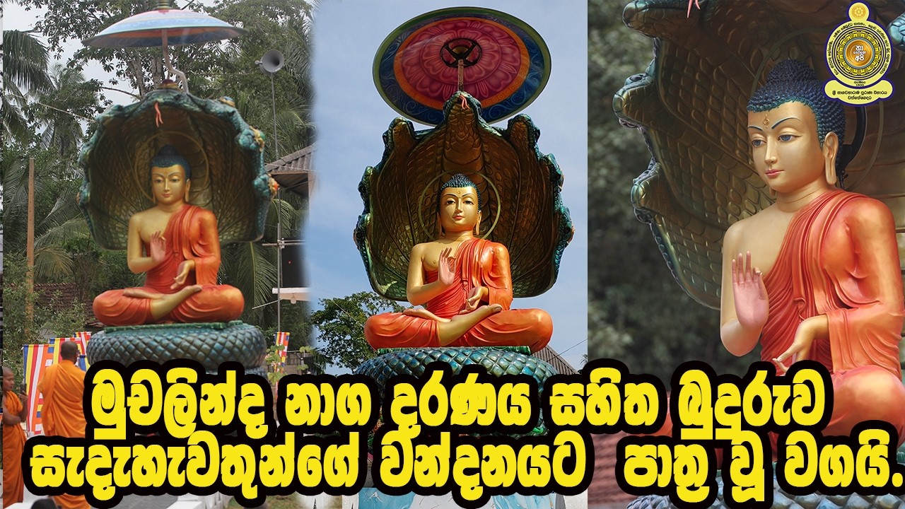 මුචලින්ද නාග දරණය සහිත බුදුරුව සැදැහැවතුන්ගේ වන්දනයට  පාත්‍ර වූ වගයි.