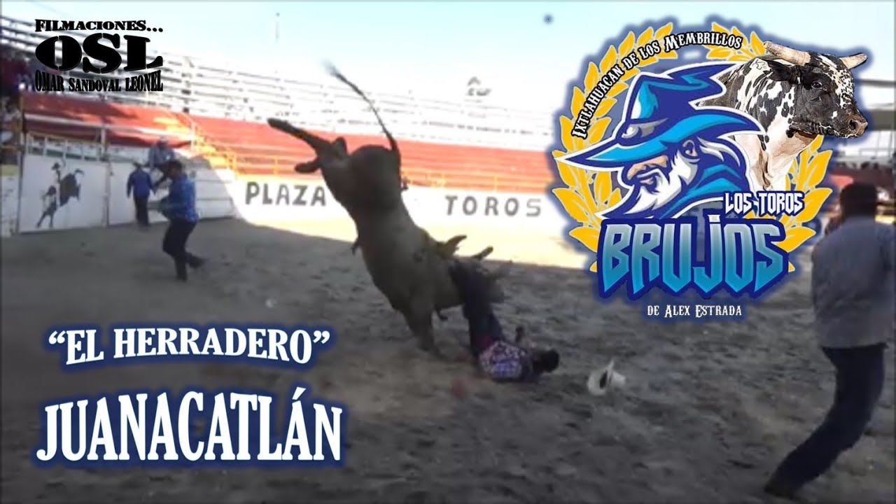 LOS TOROS BRUJOS DE ALEX ESTRADA EN 