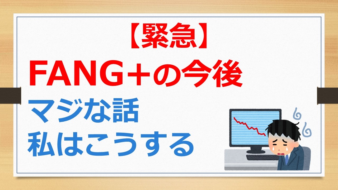FANG+今後どうする？　投資継続かやめるか、マジな話私はこうします【年金繰上げ受給の有村ポウの資産運用】260213