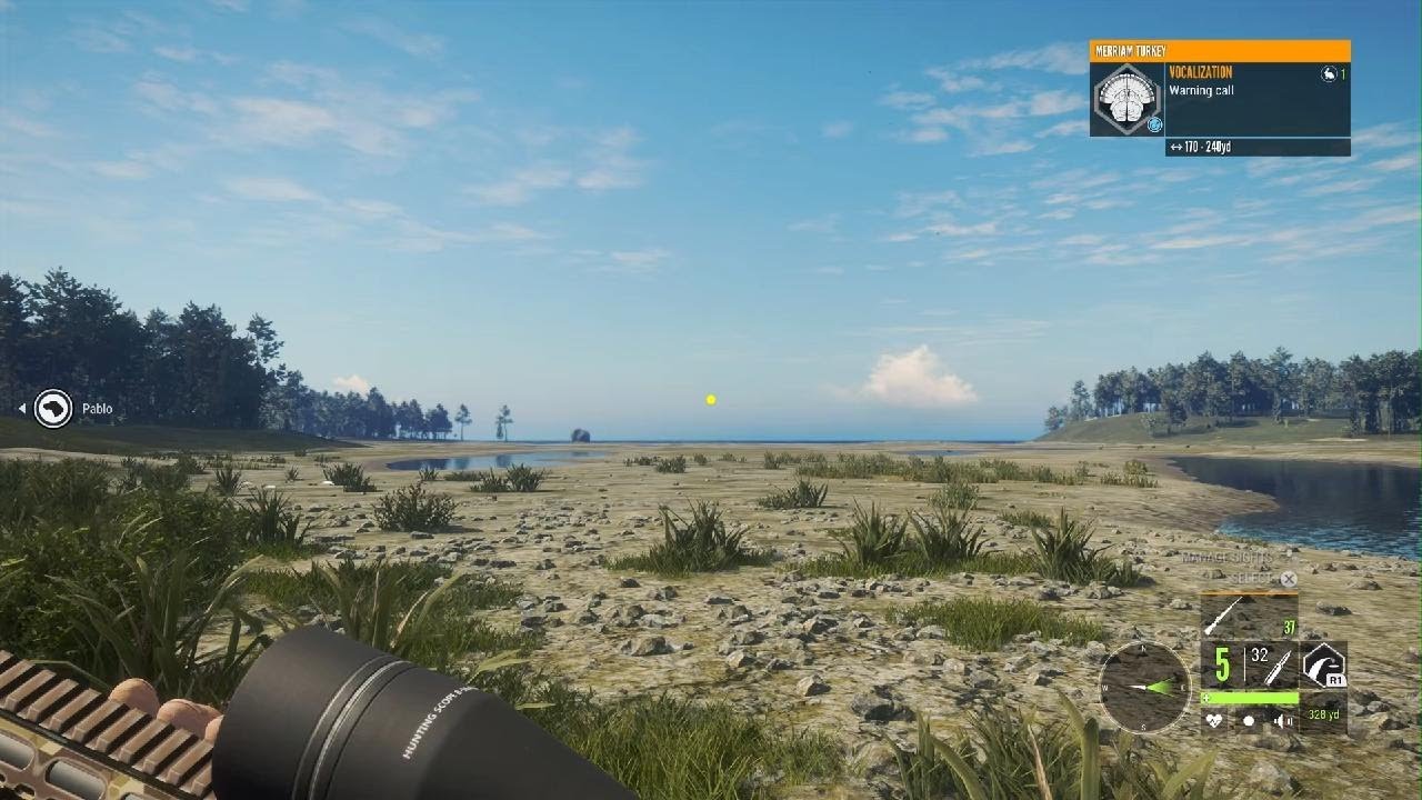 First ever Diamond, Sika deer.