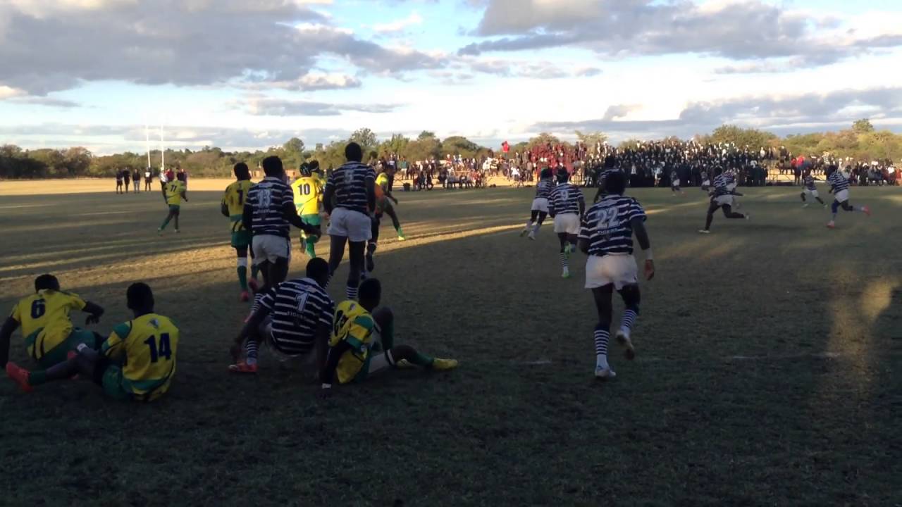 All hail the Hornets! CBC v PE rugby 1st teams