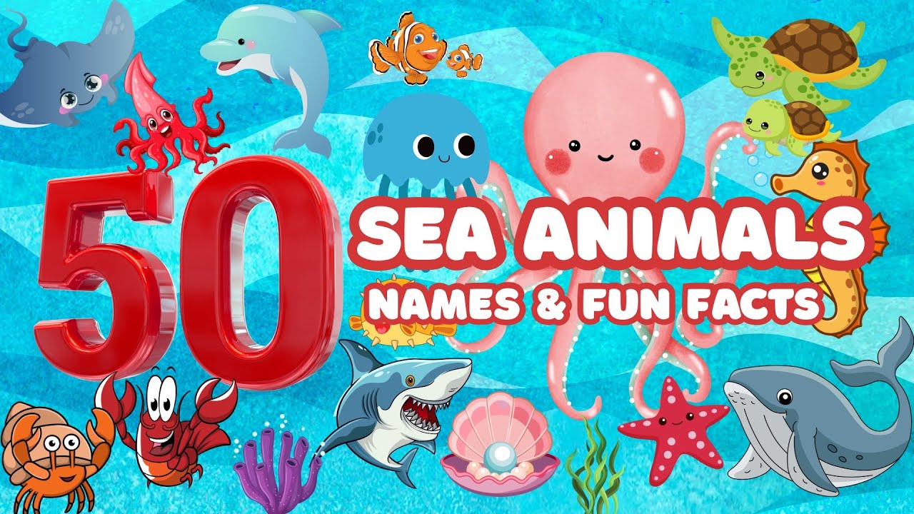 50 Amazing Sea Animals & Fun Facts for Kids | Learn Ocean Creatures!