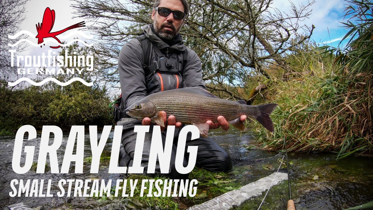 Small Stream Fly Fishing for GRAYLING. An Afternoon with Dry Flies, Nymphs and Beautiful Fish.