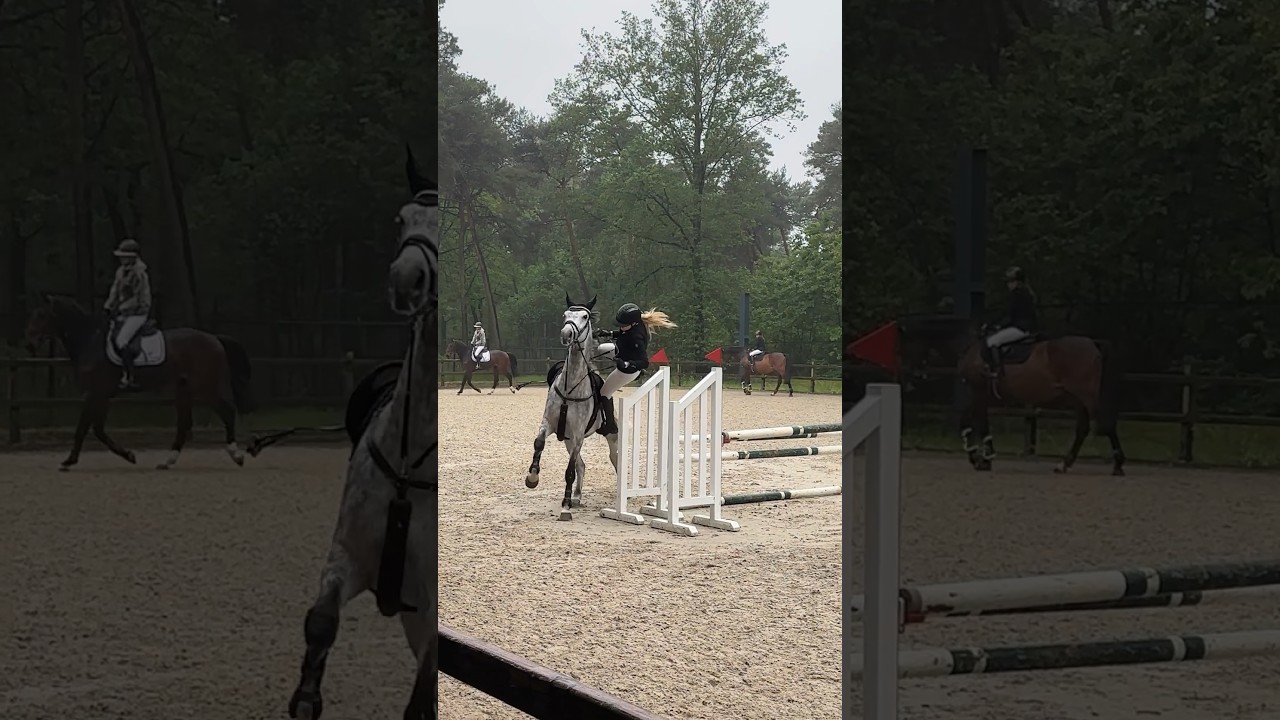 Sturz beim Turnier 🛬🤯 #pferd #horse #equestrian #horsefail #sturz #reiten