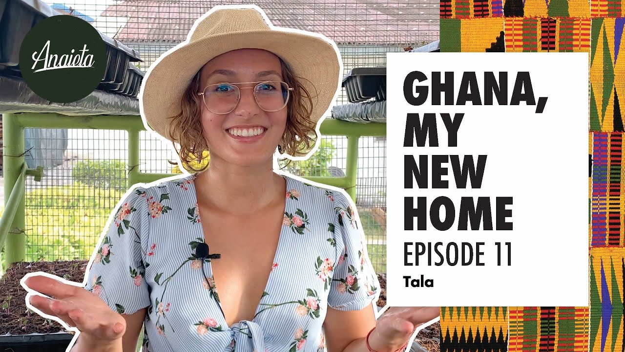 Ep11 | Persian-American doing urban farming in Accra |Ghana My New Home🇬🇭| Talaبا زیرنویس فارسیCC