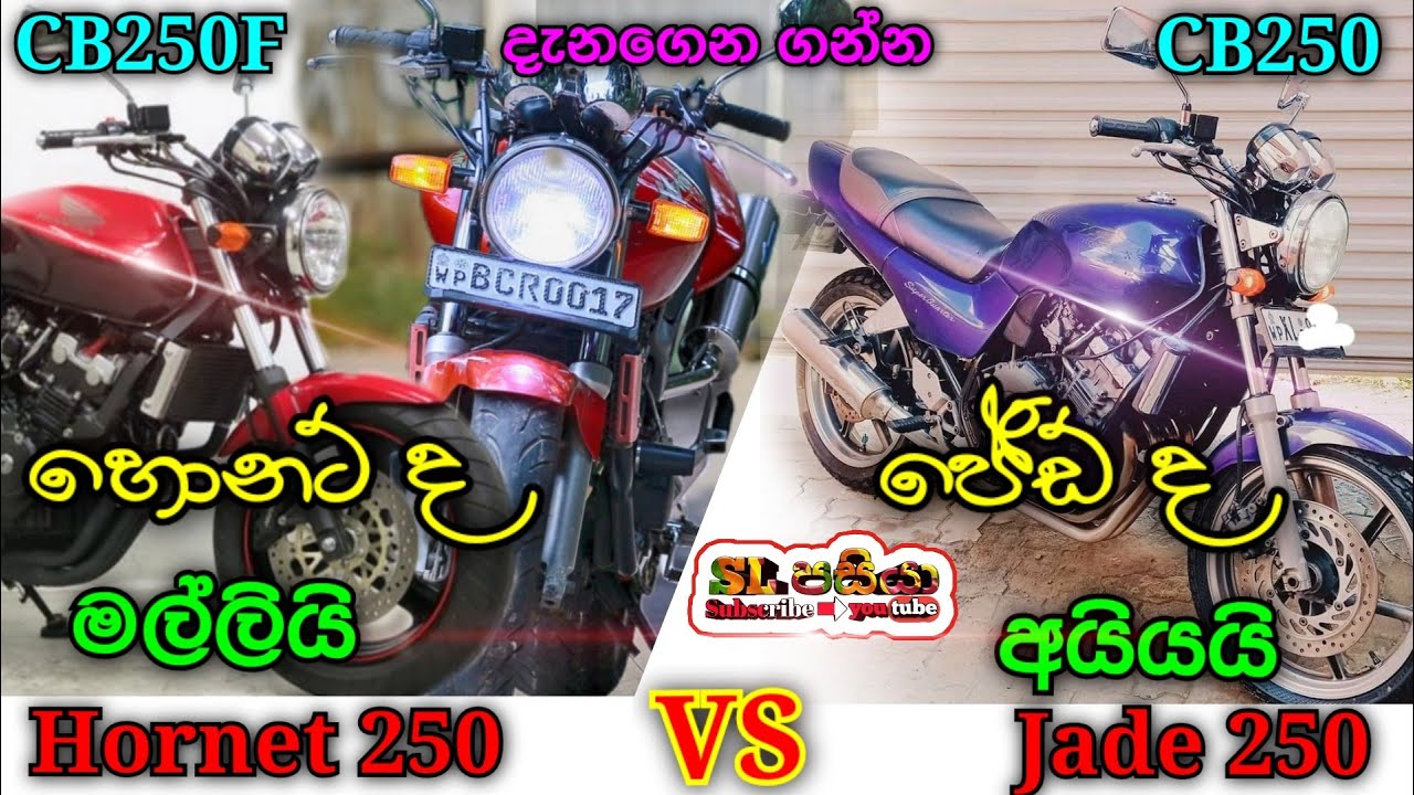 Honda Hornet 250 vs Honda Jade 250 | Cb250F vs CB250 compare video in Sinhala | Sri Lanka