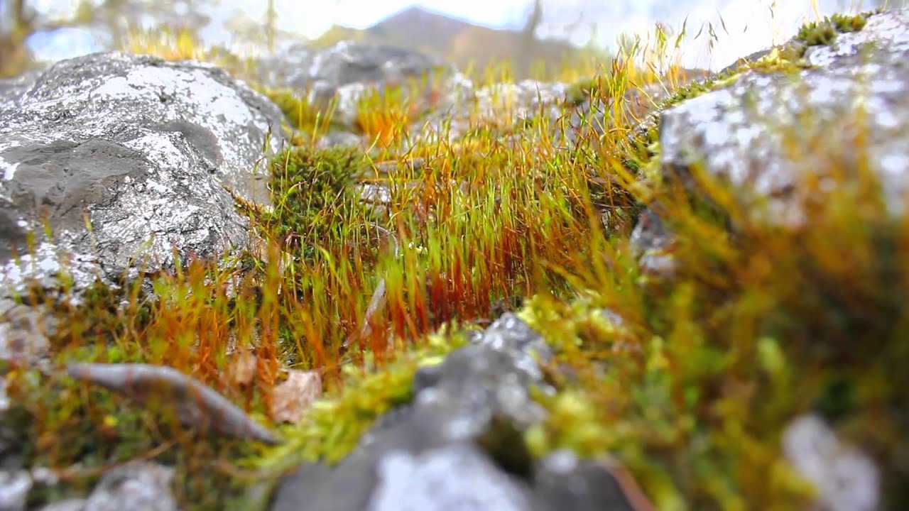 Pielachtal, das Dirndltal
