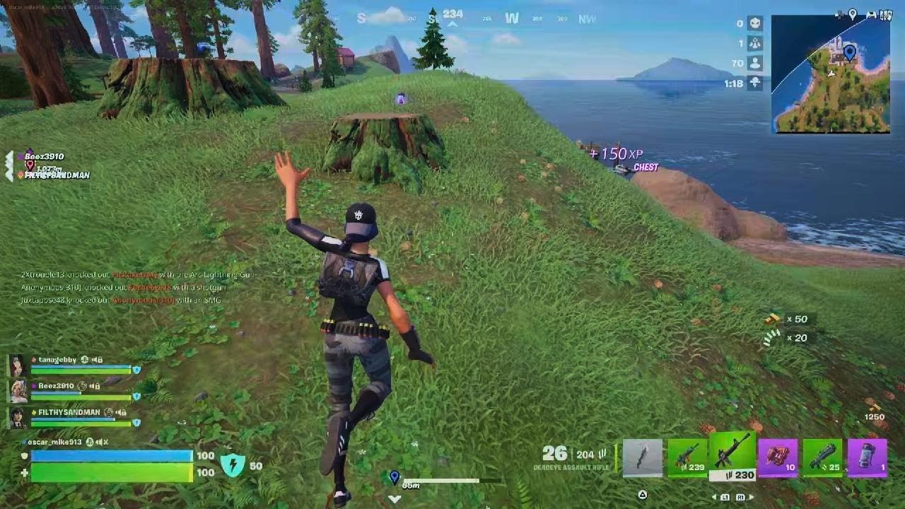 Victory Royale!!!